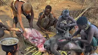24 hrs Hadzabe Hunting Ways of Life || True Bushmen