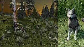 Winter Pack - Snowfall L1 - Rendezvous/Grow Pups [WolfQuest Saga]