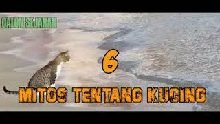 MITOS KUCING || ini penjelasan lengkapnya