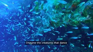 Ocean&rsquo;s Song: Unveiling the Hidden Depths of the Sea 🌊