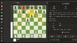 Chess Lessons - 21 | Openings, Middlegame, Endgame.