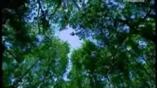 The Pagans Episode 3 Part I Sacred Landscapes.WMV