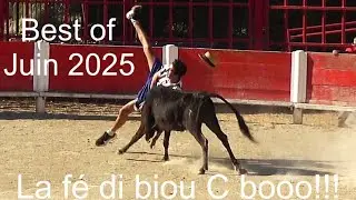 Best of moment - La fé di biou C booo!!! - Juin 2025.