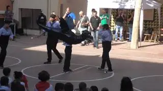 FM 1617   Drac petit de Vilafranca