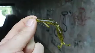 Topwater Soft Plastic Gets CRUSHED! URBN Style!