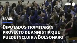 Diputados brasile&ntilde;os tramitar&aacute;n de urgencia proyecto de amnist&iacute;a que puede incluir a Bolsonaro | AFP