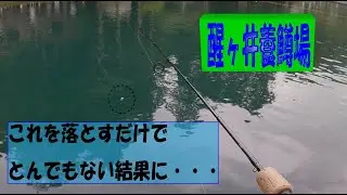 醒ヶ井養鱒場　2021年6月 12日　ペレっ太