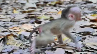 It's action not good of mom Libby leave her Lily a lone run allow mom Libby so fast |