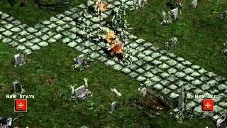 Diablo 2 Gameplay 3 - Blood Raven