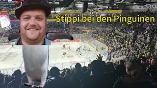 Krefeld Pinguine - Kassel Huskies