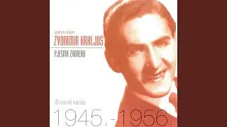 Bijela Lađa Plovi Morem