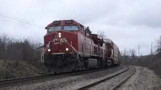 All CP! CPKC 137 rolls into Galt with #cp8115 on point