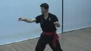 Southern Praying Mantis Kung Fu (Chow Gar): Bik Kiu Form