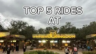 RANKING THE RIDES FROM DISNEY ANIMAL KINGDOM!!!