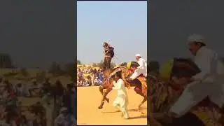 cholistan #desert #views_viral_video_subscribers_grow #mela #dance #camel #racer #champion