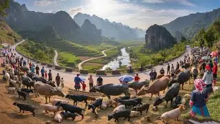 Northwest Vietnam&rsquo;s rustic market &ndash; pure culture and unique charm!