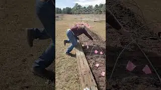 Broccoli planting hack that saves hours #gardening #tips #broccoli #homesteadlife #farmlife