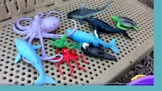 Playing Hide n Seek With Toy SEA ANIMALS on the Playground SLIDES-SHARK toys,Whales,octopus