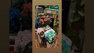 FSFA Orlando Convention #florist #jimithetulip #flowers #peaceandlove #Santoli