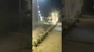 Assamese zubeen song #assamese #lifeisbutadream instagram reels video