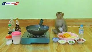 Master Chef Monkey Kako Cooking Fried Vegetables With Beef Recipe