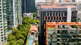 M Social Singapore | Holiday with Falguni