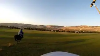 Polo practice at a polo farm in Jordan
