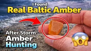 Я нашла настоящий балтийский янтарь на пляже! После шторма! 🌊 (Миержея Вислана, Польша)