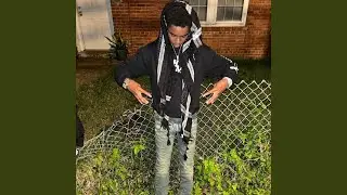 Dog $hit