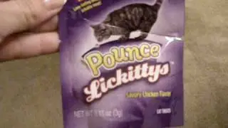 Minx eating her Lickitty treat
