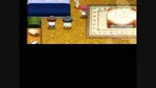 Harvest Moon Tale of Two Towns: Birth of Ash's Child