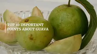 Top 10 Important Points about Guava