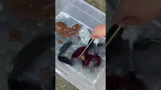 How To Clean Your Ball Caps & Hats ~ Laundry Stripping Recipe