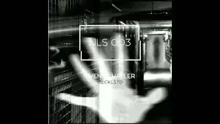 Sven Schaller - Ghost Machine (Original Mix) [Nonlinear Systems]