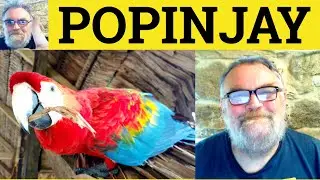 😎 Popinjay Meaning - Popinjay Definition - Popinjay Defined - Popinjay Examples - Popinjay