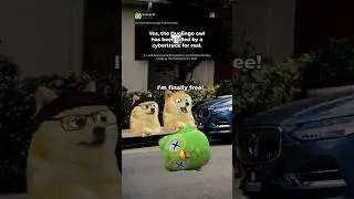 The duolingo owl is DEAD!!!