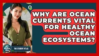 Why Are Ocean Currents Vital For Healthy Ocean Ecosystems? - The Student Atlas