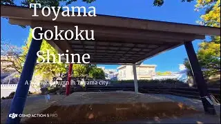 Exploring Toyama Gokoku Shrine | Peaceful Autumn Walk in Japan  #japan #toyama #travel #fall #autumn