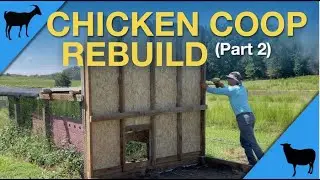 Chicken Coop Rebuild (Part 2): Foundation & 1st Wall