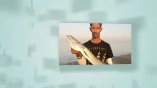 Barracuda Hunt 2017