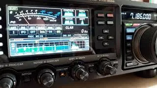 HB9NE calling CQ, Yaesu FTDX3000 - 5 band Hyendfed endfed wire, 8/3/2020