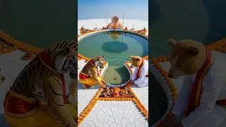 Tiger and Bear prepare the ghat for Chhath Puja 😱|| #ai #chhathpuja#shortvideo