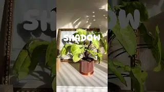 Plant Shadow Magic ✨