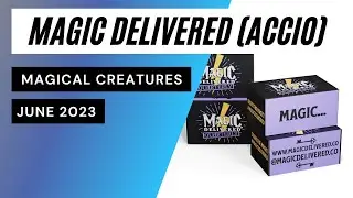 Magic Delivered Accio Box Magical Creatures Unboxing June 2023