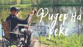 Фидер на реке в мае. Ловим густеру. Рыбалка на реке Друть.