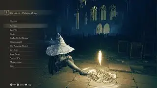 ELDEN RING Shadow of the Erdtree Dryleaf Dane Boss Fight Intelligence Build