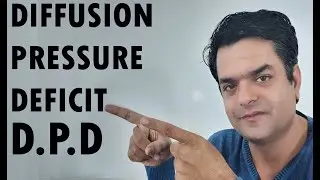 DIFFUSION PRESSURE DEFICIT (D.P.D.) / TRANSPORTATION IN PLANT OR PLANT WATER RELATION. ANANDWANI SIR