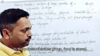 polysaccharides starch cellulose and glyogen