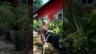 dinas pengairan dan penyiraman tanaman #garden #waterfall #ideas #fyp #baby #parenting