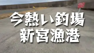 #釣り ＃福岡釣り　新宮漁港